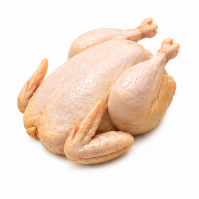 ไก่เนื้อ